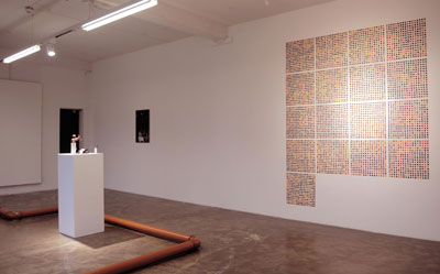  Martin Boyle: Sweet wall relief, 2009, fruit wine gums; courtesy Golden Thread Gallery